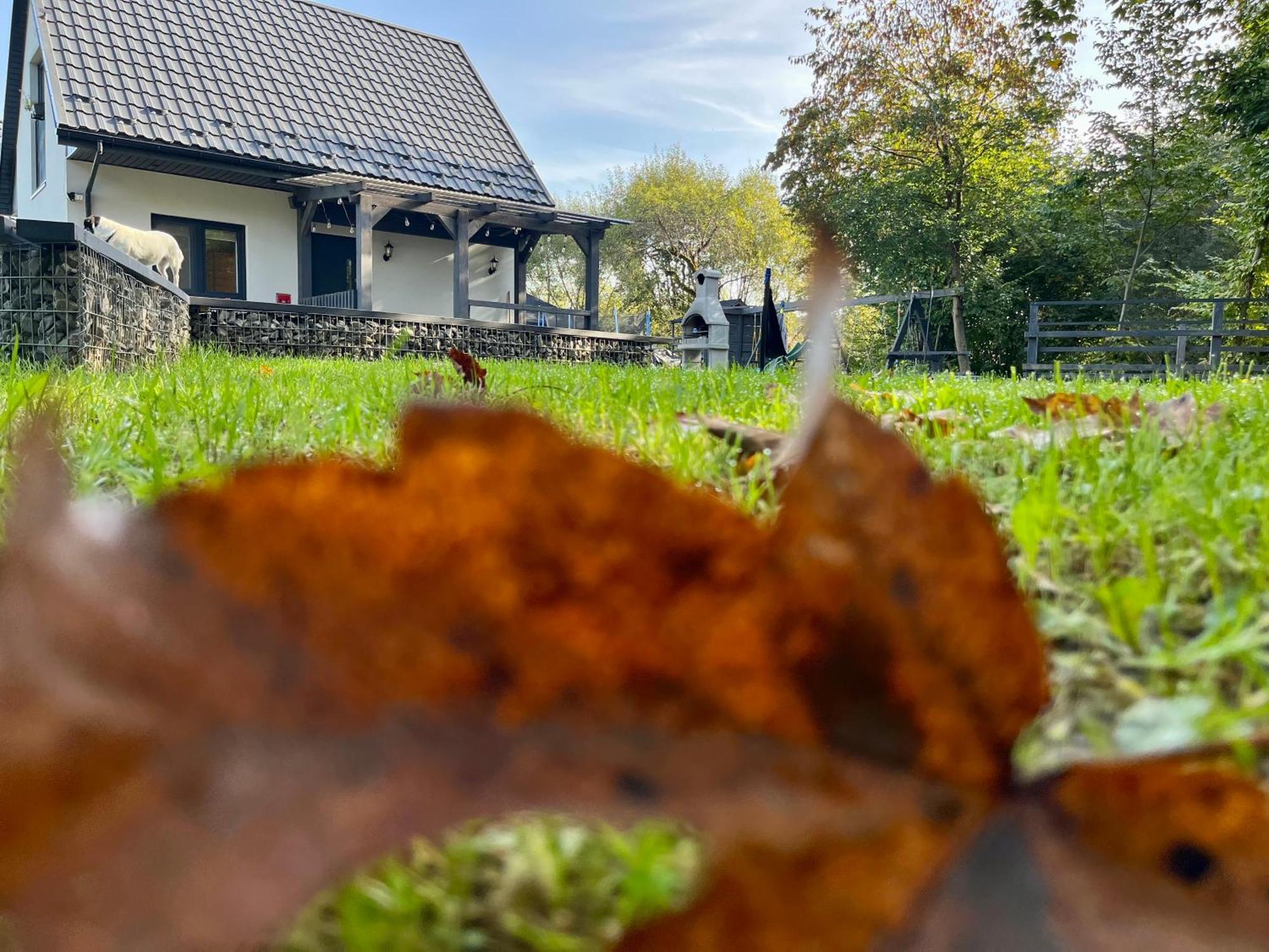 Domki Nad Starym Potokiem Ustrzyki Dolne Esterno foto